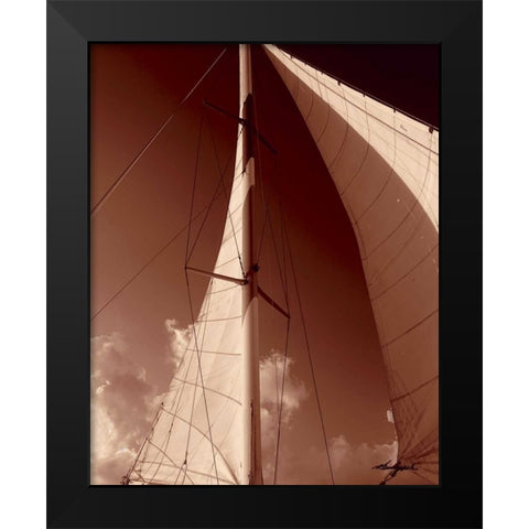 Windward Sail IV Black Modern Wood Framed Art Print by Hausenflock, Alan