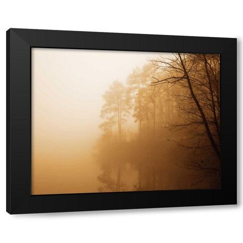 Fog on Shelly Lake I Black Modern Wood Framed Art Print with Double Matting by Hausenflock, Alan