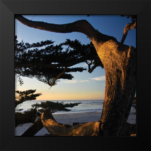 Carmel Sunset II Black Modern Wood Framed Art Print by Hausenflock, Alan