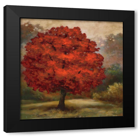 Tree Cast I Black Modern Wood Framed Art Print with Double Matting by Lee, Scott