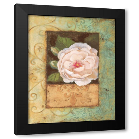 Antique Rose II Black Modern Wood Framed Art Print with Double Matting by Jeffrey, Jillian