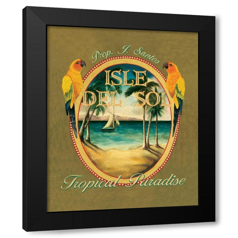 Isle del Sol Black Modern Wood Framed Art Print by Jones, Catherine