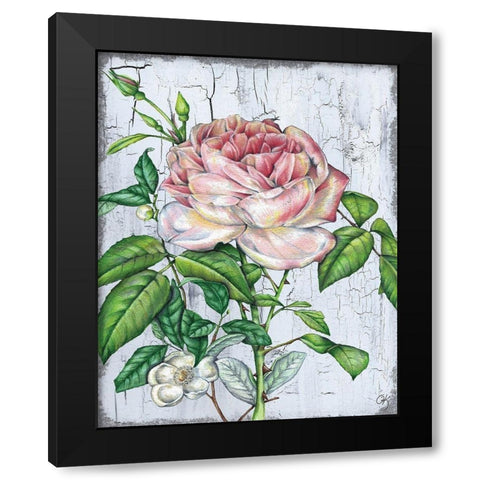 Rose Black Modern Wood Framed Art Print with Double Matting by K, Onna