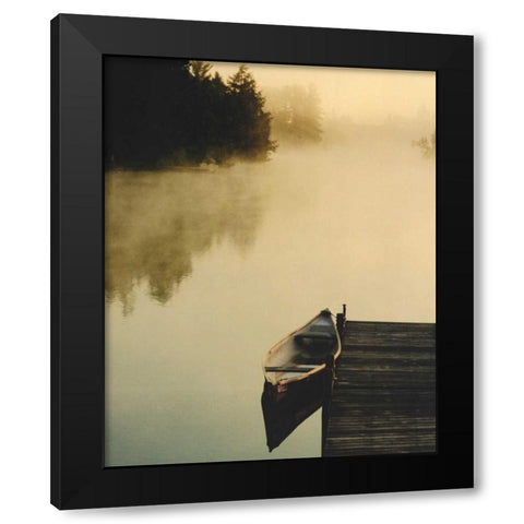 Plenitude II Black Modern Wood Framed Art Print by Lestage, Suzanne