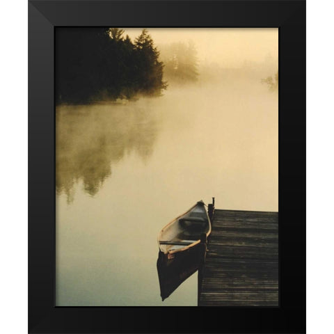 Plenitude II Black Modern Wood Framed Art Print by Lestage, Suzanne