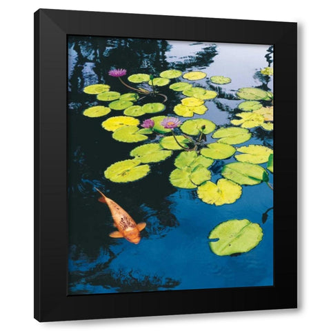 Koi Pond I Black Modern Wood Framed Art Print with Double Matting by Love, Maureen