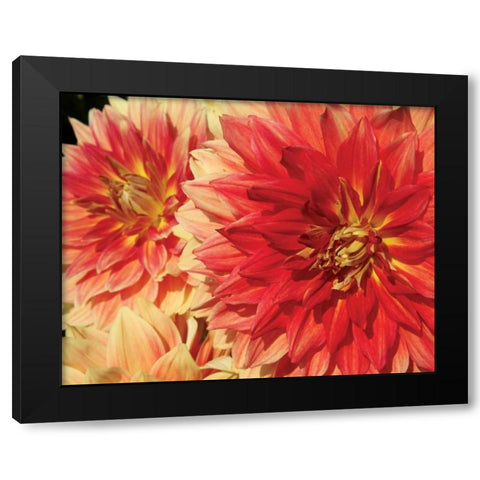 Hot Sun Black Modern Wood Framed Art Print with Double Matting by Love, Maureen