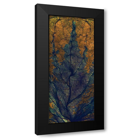 Coleus Window Black Modern Wood Framed Art Print by McLemore, Julia