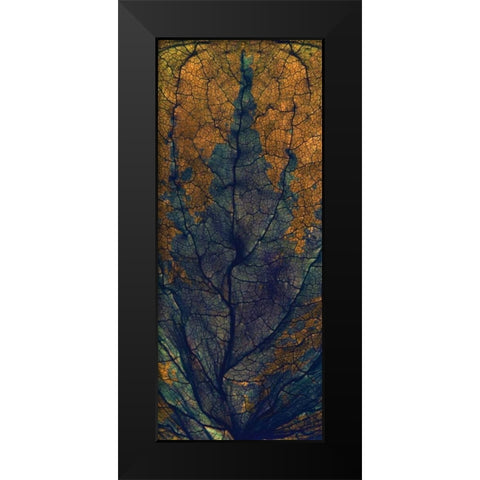 Coleus Window Black Modern Wood Framed Art Print by McLemore, Julia