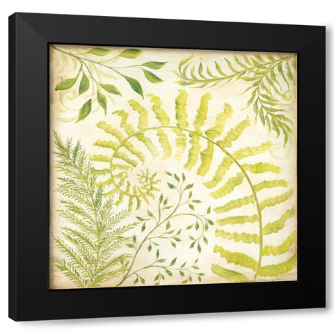 Fern Botanical II Black Modern Wood Framed Art Print by McRostie, Kate