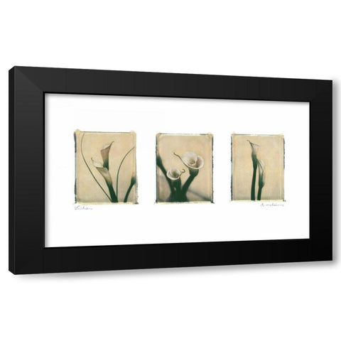 Lilies Black Modern Wood Framed Art Print with Double Matting by Melious, Amy