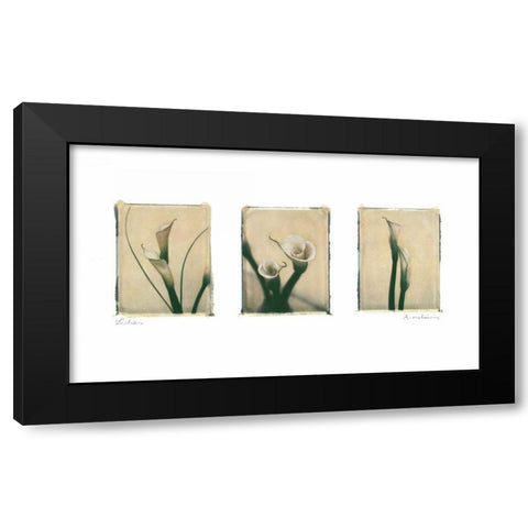 Lilies Black Modern Wood Framed Art Print by Melious, Amy