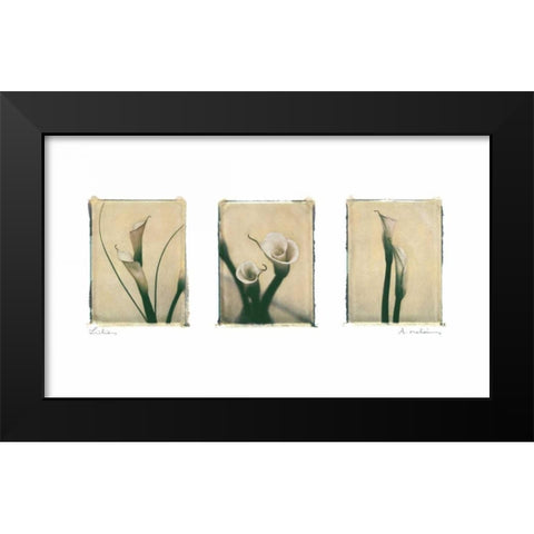 Lilies Black Modern Wood Framed Art Print by Melious, Amy