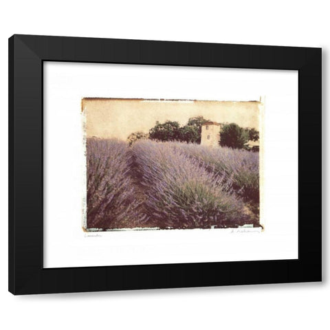 Lavender Black Modern Wood Framed Art Print with Double Matting by Melious, Amy