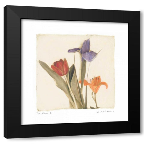 Tre Fiori I Black Modern Wood Framed Art Print with Double Matting by Melious, Amy