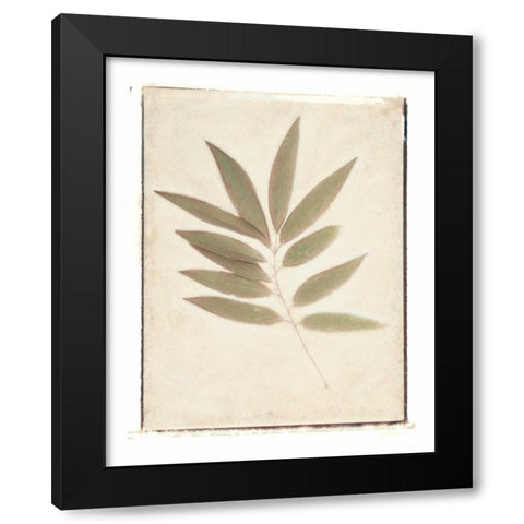 Bay Leaves Black Modern Wood Framed Art Print with Double Matting by Melious, Amy