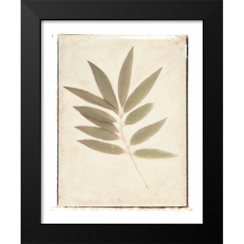 Bay Leaves Black Modern Wood Framed Art Print by Melious, Amy