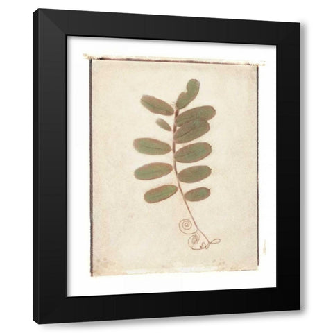 Tendril Black Modern Wood Framed Art Print by Melious, Amy