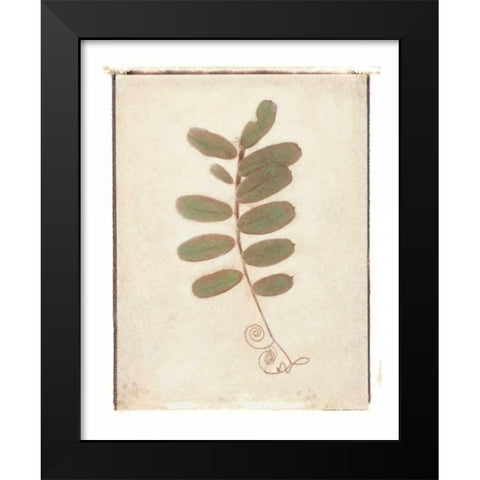 Tendril Black Modern Wood Framed Art Print by Melious, Amy