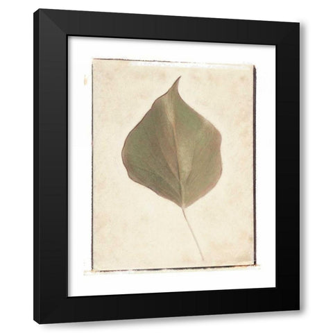 Single Leaf Black Modern Wood Framed Art Print with Double Matting by Melious, Amy