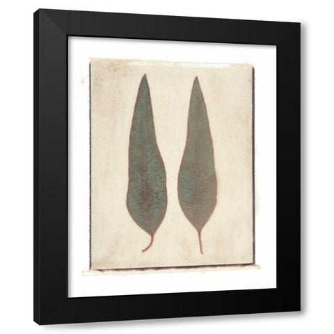 Two Leaves Black Modern Wood Framed Art Print with Double Matting by Melious, Amy
