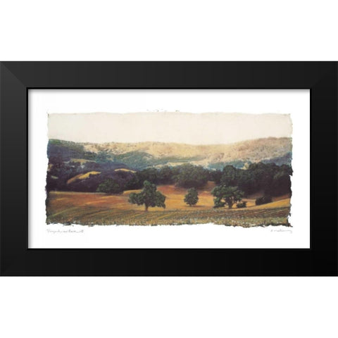 Vineyard and Oak II Black Modern Wood Framed Art Print by Melious, Amy