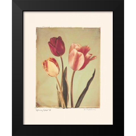 Spring Color II Black Modern Wood Framed Art Print by Melious, Amy