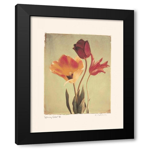 Spring Color III Black Modern Wood Framed Art Print with Double Matting by Melious, Amy