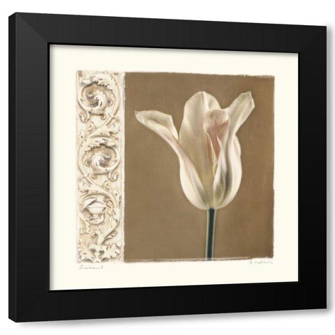 Lumiere I Black Modern Wood Framed Art Print with Double Matting by Melious, Amy