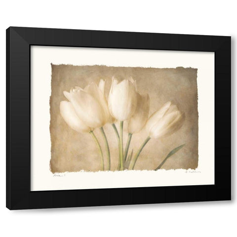 Aria I Black Modern Wood Framed Art Print with Double Matting by Melious, Amy