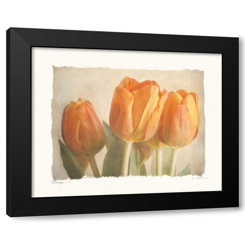 Bellezza I Black Modern Wood Framed Art Print with Double Matting by Melious, Amy