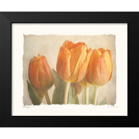 Bellezza I Black Modern Wood Framed Art Print by Melious, Amy