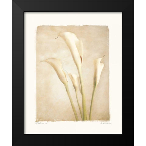 Poetica II Black Modern Wood Framed Art Print by Melious, Amy