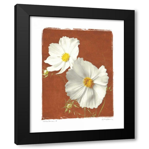 White Cosmos II Black Modern Wood Framed Art Print with Double Matting by Melious, Amy