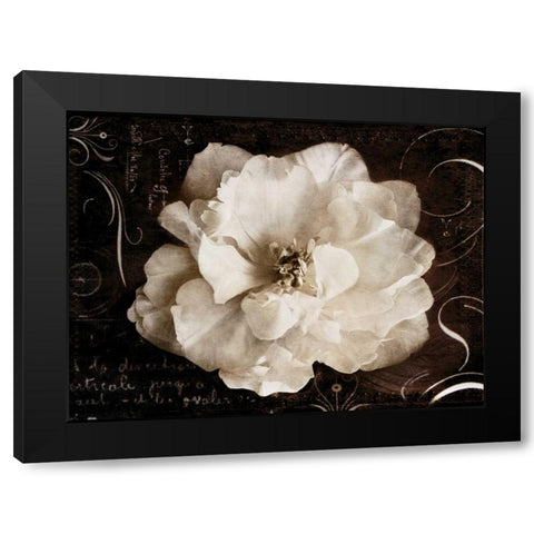 Garden Journal II Black Modern Wood Framed Art Print by Melious, Amy