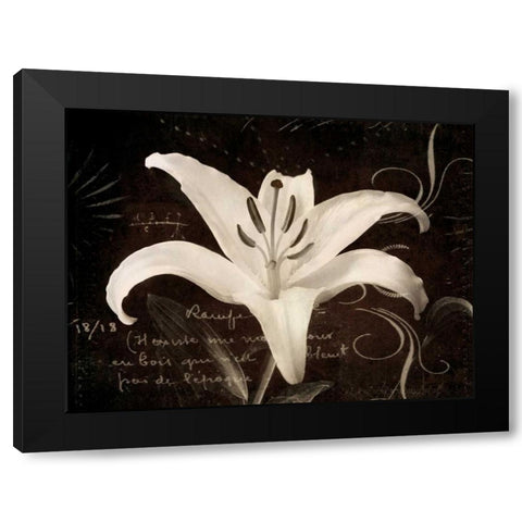 Garden Journal III Black Modern Wood Framed Art Print with Double Matting by Melious, Amy