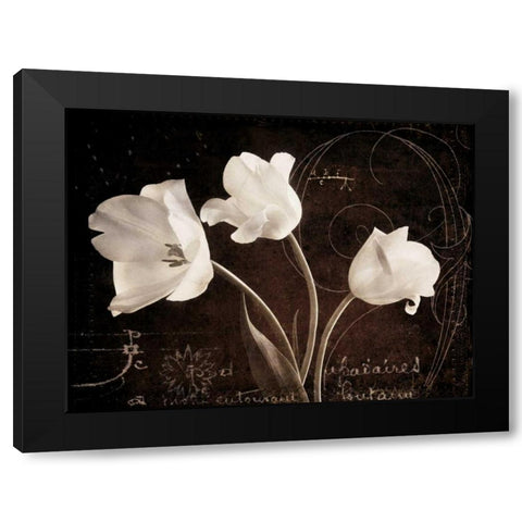 Garden Love Letter II Black Modern Wood Framed Art Print with Double Matting by Melious, Amy