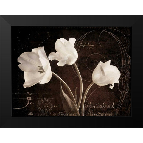 Garden Love Letter II Black Modern Wood Framed Art Print by Melious, Amy
