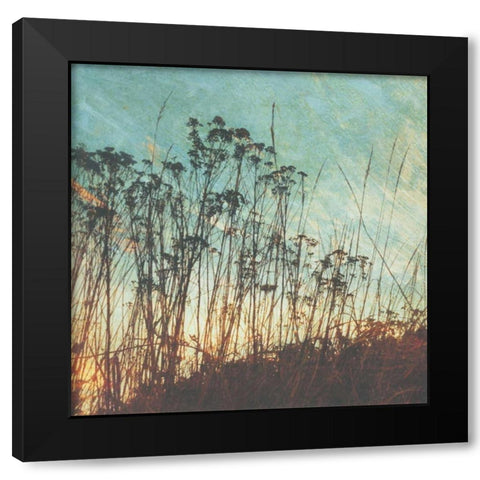 Wild Grass I Black Modern Wood Framed Art Print with Double Matting by Melious, Amy