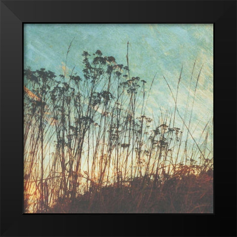 Wild Grass I Black Modern Wood Framed Art Print by Melious, Amy