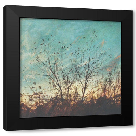 Wild Grass II Black Modern Wood Framed Art Print with Double Matting by Melious, Amy