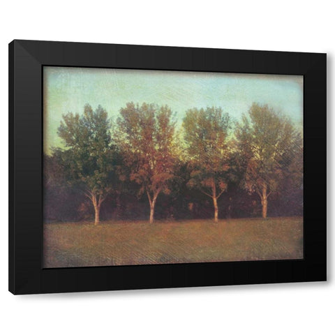 Natures Bliss I Black Modern Wood Framed Art Print by Melious, Amy