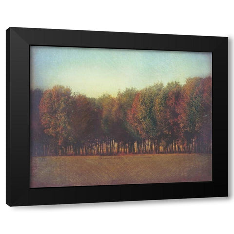 Natures Bliss II Black Modern Wood Framed Art Print with Double Matting by Melious, Amy