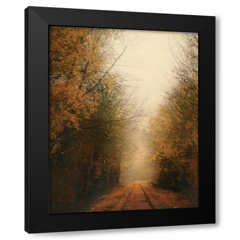 Road of Mysteries I Black Modern Wood Framed Art Print with Double Matting by Melious, Amy