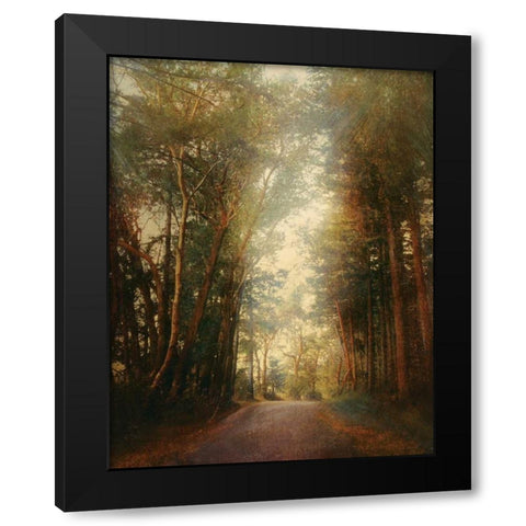 Road of Mysteries II Black Modern Wood Framed Art Print with Double Matting by Melious, Amy