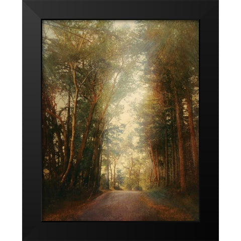 Road of Mysteries II Black Modern Wood Framed Art Print by Melious, Amy