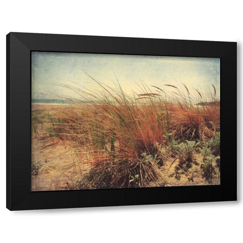 Sand Dunes II Black Modern Wood Framed Art Print with Double Matting by Melious, Amy