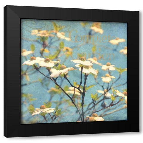 Dogwood I Black Modern Wood Framed Art Print with Double Matting by Melious, Amy