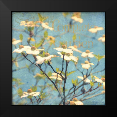 Dogwood I Black Modern Wood Framed Art Print by Melious, Amy