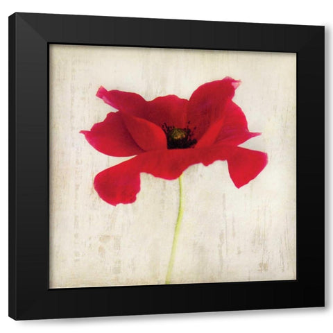 Red I Black Modern Wood Framed Art Print by Melious, Amy